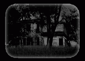 Twin Oaks