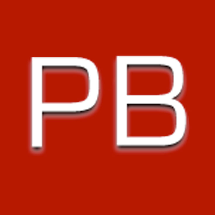 ptbradley.com-logo